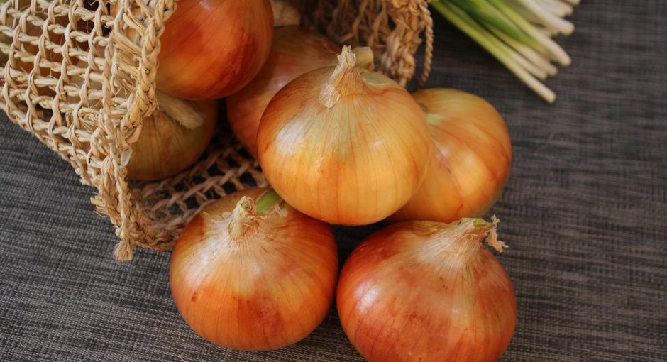 How to store onions from the garden