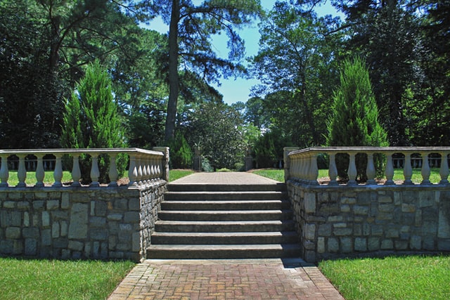 brown wooden stairs near green trees during daytime