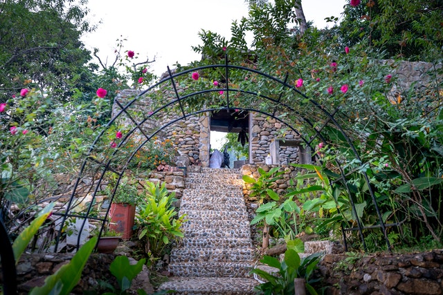 green-garden-near-stone-stairs