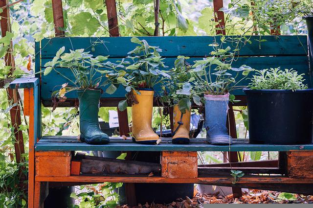plants-rubber-boots-garden-bench