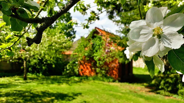 Hiding walls behind greenery