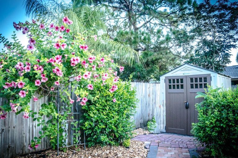 How To Disguise A Garden Shed