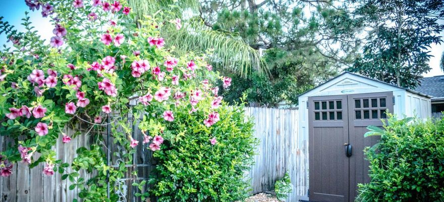 How To Disguise A Garden Shed