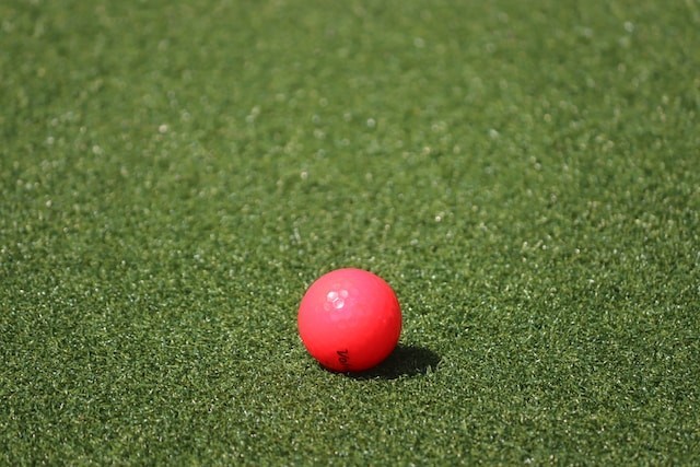 ball on the fake grass