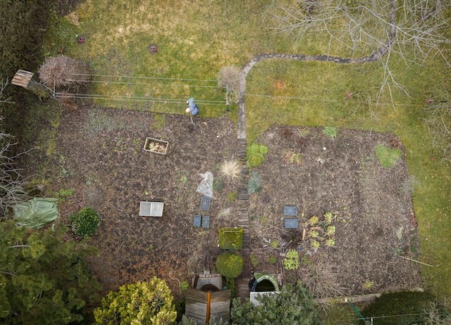 person landscaping the area of backyard